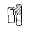 4C/4D
